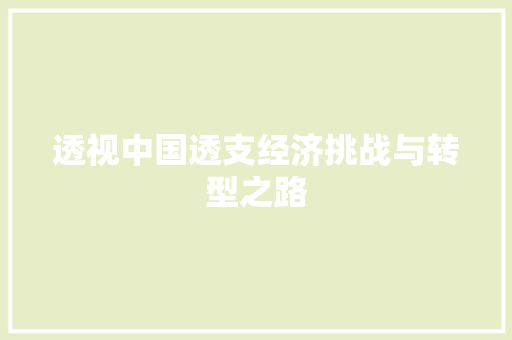 透视中国透支经济挑战与转型之路 透视中国透支经济挑战与转型之路