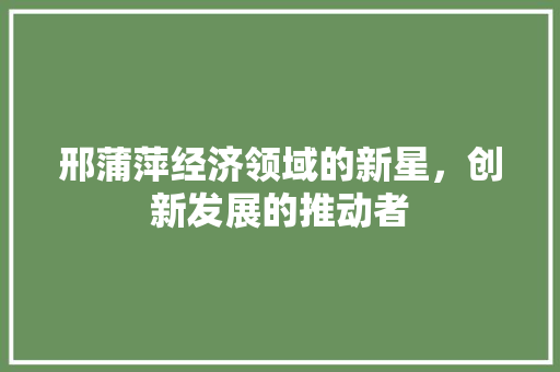 邢蒲萍经济领域的新星,创新发展的推动者 邢蒲萍经济领域的新星,创新发展的推动者