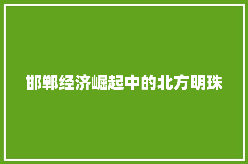 邯郸经济崛起中的北方明珠 邯郸经济崛起中的北方明珠