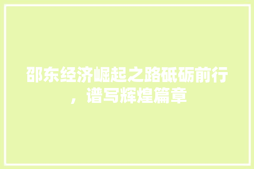 邵东经济崛起之路砥砺前行,谱写辉煌篇章 邵东经济崛起之路砥砺前行,谱写辉煌篇章