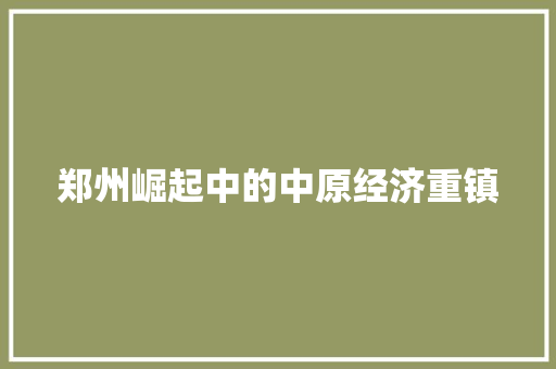 郑州崛起中的中原经济重镇 郑州崛起中的中原经济重镇