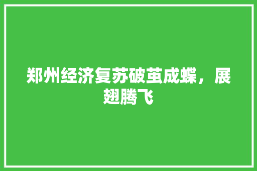 郑州经济复苏破茧成蝶,展翅腾飞 郑州经济复苏破茧成蝶,展翅腾飞