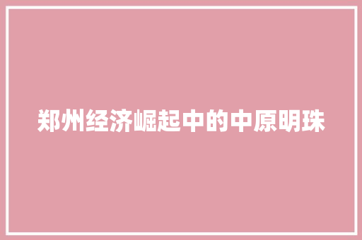 郑州经济崛起中的中原明珠 郑州经济崛起中的中原明珠
