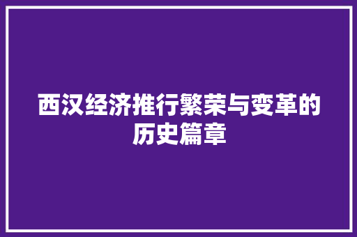 西汉经济推行繁荣与变革的历史篇章