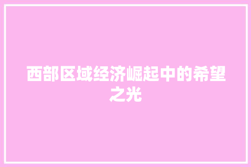 西部区域经济崛起中的希望之光 西部区域经济崛起中的希望之光