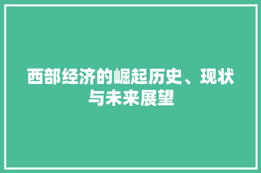 西部经济的崛起历史、现状与未来展望 西部经济的崛起历史、现状与未来展望