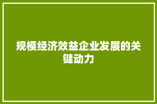 规模经济效益企业发展的关键动力 规模经济效益企业发展的关键动力