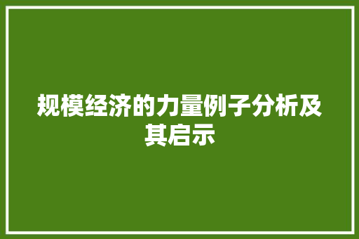 规模经济的力量例子分析及其启示 规模经济的力量例子分析及其启示