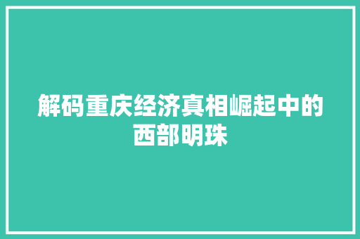 解码重庆经济真相崛起中的西部明珠 解码重庆经济真相崛起中的西部明珠