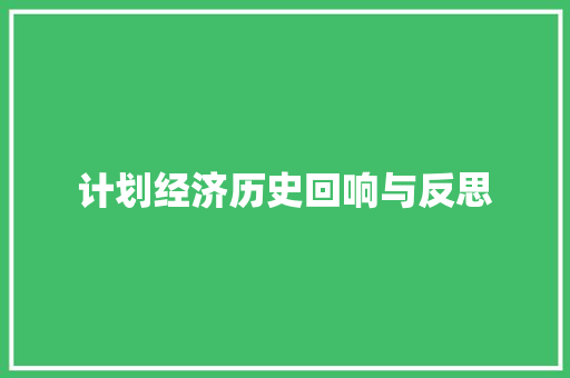计划经济历史回响与反思
