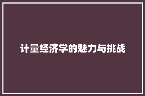 计量经济学的魅力与挑战 计量经济学的魅力与挑战