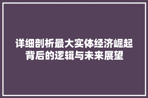 详细剖析最大实体经济崛起背后的逻辑与未来展望 详细剖析最大实体经济崛起背后的逻辑与未来展望