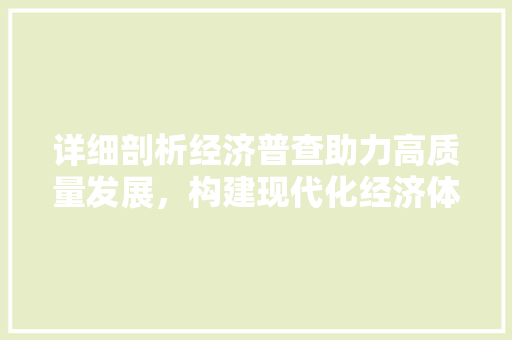 详细剖析经济普查助力高质量发展,构建现代化经济体系 详细剖析经济普查助力高质量发展,构建现代化经济体系