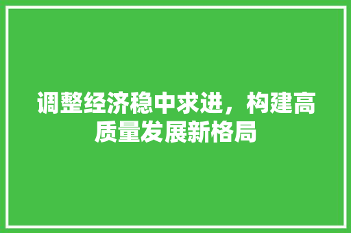 调整经济稳中求进,构建高质量发展新格局 调整经济稳中求进,构建高质量发展新格局