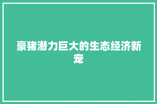 豪猪潜力巨大的生态经济新宠 豪猪潜力巨大的生态经济新宠