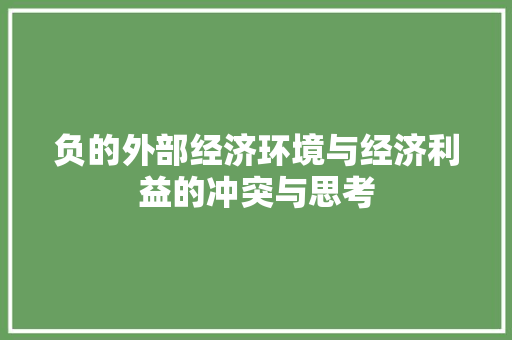 负的外部经济环境与经济利益的冲突与思考 负的外部经济环境与经济利益的冲突与思考