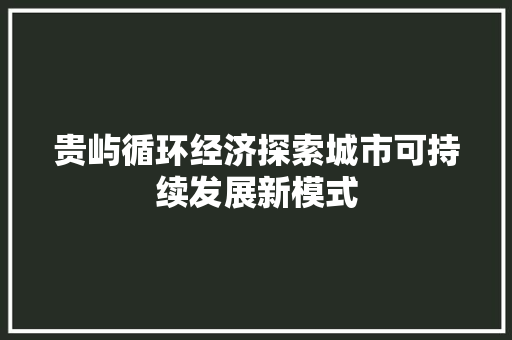 贵屿循环经济探索城市可持续发展新模式 贵屿循环经济探索城市可持续发展新模式