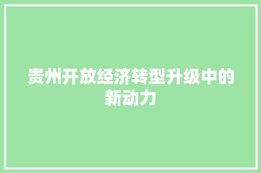 贵州开放经济转型升级中的新动力 贵州开放经济转型升级中的新动力
