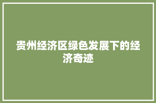 贵州经济区绿色发展下的经济奇迹 贵州经济区绿色发展下的经济奇迹