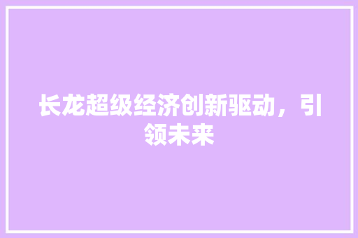 长龙超级经济创新驱动,引领未来 长龙超级经济创新驱动,引领未来