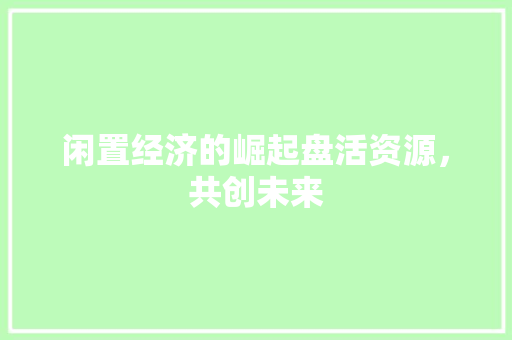 闲置经济的崛起盘活资源,共创未来 闲置经济的崛起盘活资源,共创未来