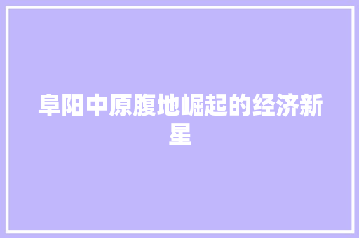 阜阳中原腹地崛起的经济新星 阜阳中原腹地崛起的经济新星