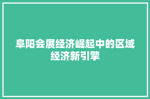 阜阳会展经济崛起中的区域经济新引擎 阜阳会展经济崛起中的区域经济新引擎