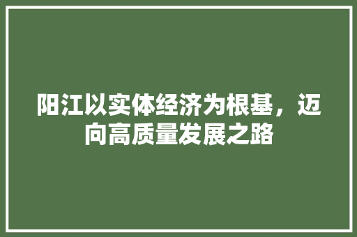 阳江以实体经济为根基,迈向高质量发展之路 阳江以实体经济为根基,迈向高质量发展之路