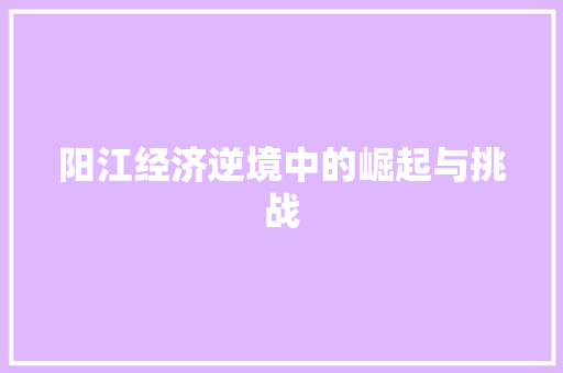 阳江经济逆境中的崛起与挑战 阳江经济逆境中的崛起与挑战