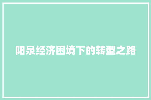 阳泉经济困境下的转型之路