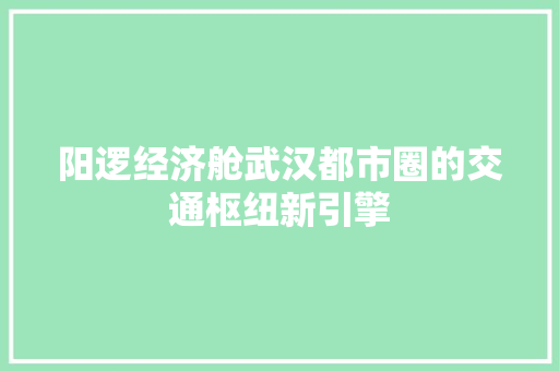 阳逻经济舱武汉都市圈的交通枢纽新引擎 阳逻经济舱武汉都市圈的交通枢纽新引擎