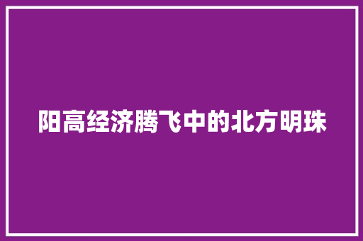 阳高经济腾飞中的北方明珠 阳高经济腾飞中的北方明珠