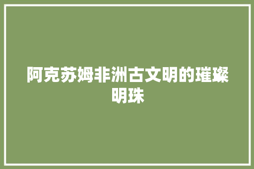 阿克苏姆非洲古文明的璀璨明珠 阿克苏姆非洲古文明的璀璨明珠