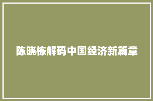 陈晓栋解码中国经济新篇章 陈晓栋解码中国经济新篇章