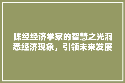 陈经经济学家的智慧之光洞悉经济现象,引领未来发展趋势 陈经经济学家的智慧之光洞悉经济现象,引领未来发展趋势