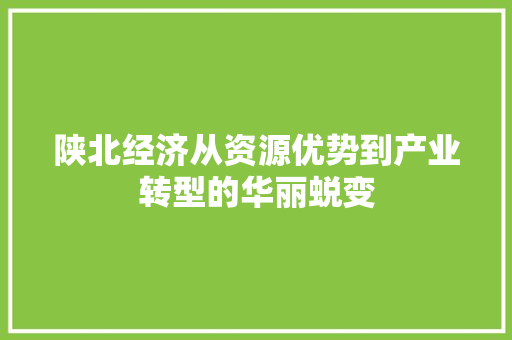 陕北经济从资源优势到产业转型的华丽蜕变 陕北经济从资源优势到产业转型的华丽蜕变