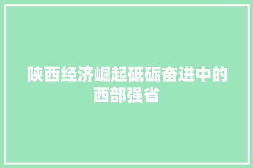 陕西经济崛起砥砺奋进中的西部强省 陕西经济崛起砥砺奋进中的西部强省