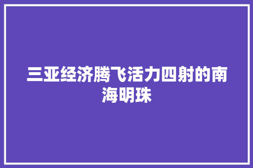 三亚经济腾飞活力四射的南海明珠 三亚经济腾飞活力四射的南海明珠