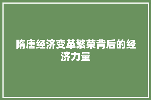 隋唐经济变革繁荣背后的经济力量 隋唐经济变革繁荣背后的经济力量