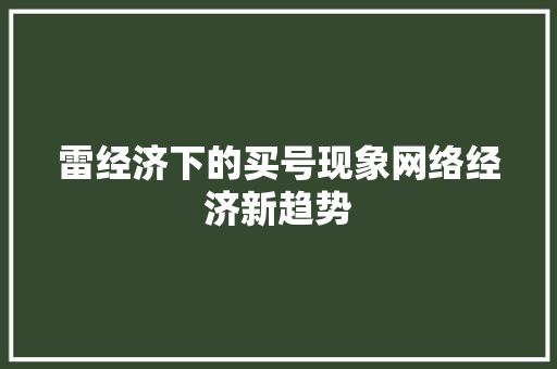 雷经济下的买号现象网络经济新趋势 雷经济下的买号现象网络经济新趋势