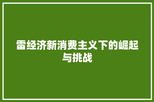 雷经济新消费主义下的崛起与挑战 雷经济新消费主义下的崛起与挑战