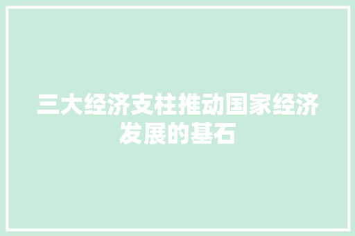 三大经济支柱推动国家经济发展的基石 三大经济支柱推动国家经济发展的基石