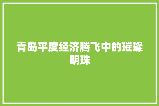 青岛平度经济腾飞中的璀璨明珠 青岛平度经济腾飞中的璀璨明珠