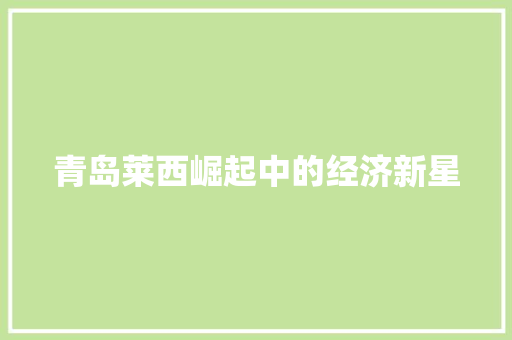 青岛莱西崛起中的经济新星 青岛莱西崛起中的经济新星