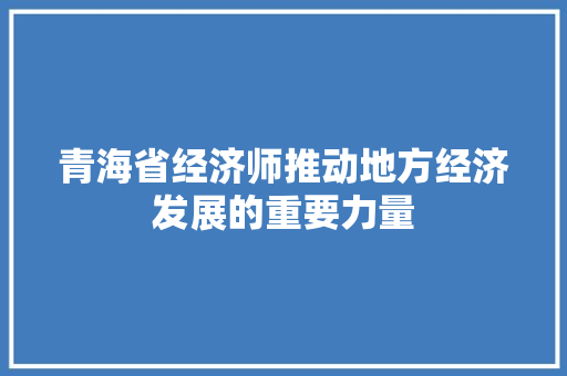 青海省经济师推动地方经济发展的重要力量 青海省经济师推动地方经济发展的重要力量