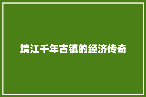 靖江千年古镇的经济传奇 靖江千年古镇的经济传奇