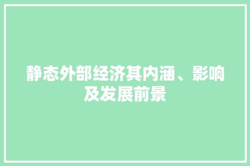 静态外部经济其内涵、影响及发展前景 静态外部经济其内涵、影响及发展前景