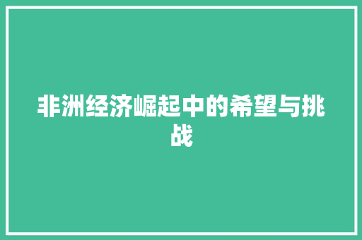 非洲经济崛起中的希望与挑战 非洲经济崛起中的希望与挑战