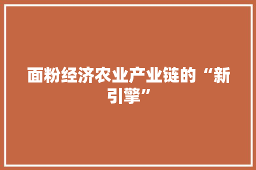 面粉经济农业产业链的“新引擎” 面粉经济农业产业链的“新引擎”