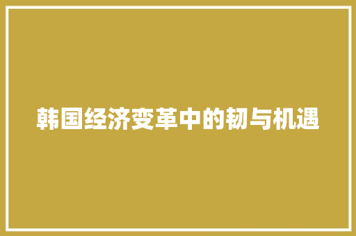韩国经济变革中的韧与机遇 韩国经济变革中的韧与机遇